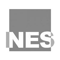 Logo der NES